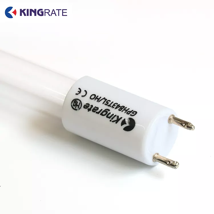 Đèn UV dải kép năng lượng cao